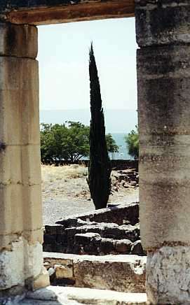 Synagogue de Capharnaüm